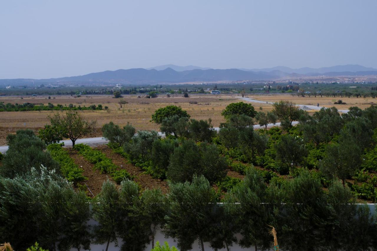 Villa Olivia, Yasmine Hammamet, Bouficha מראה חיצוני תמונה