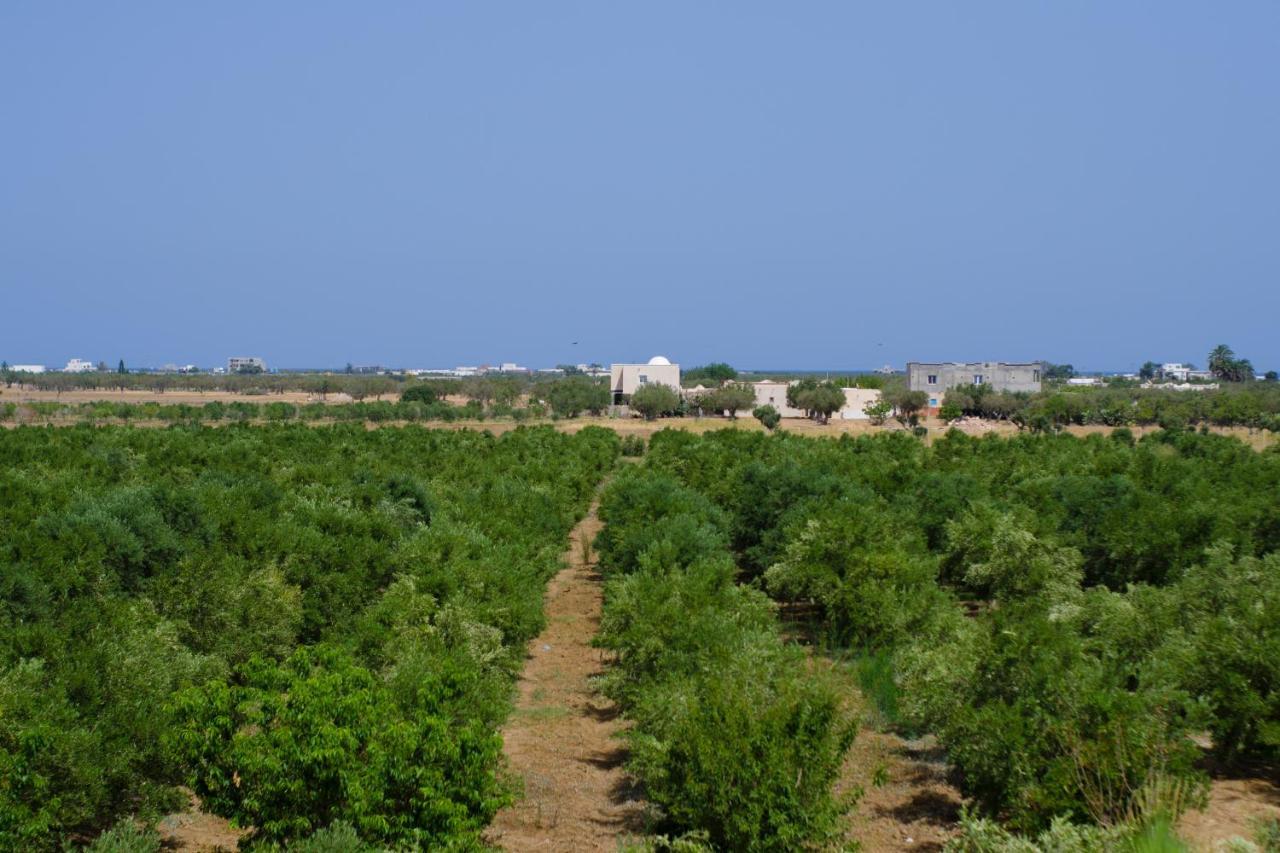 Villa Olivia, Yasmine Hammamet, Bouficha מראה חיצוני תמונה