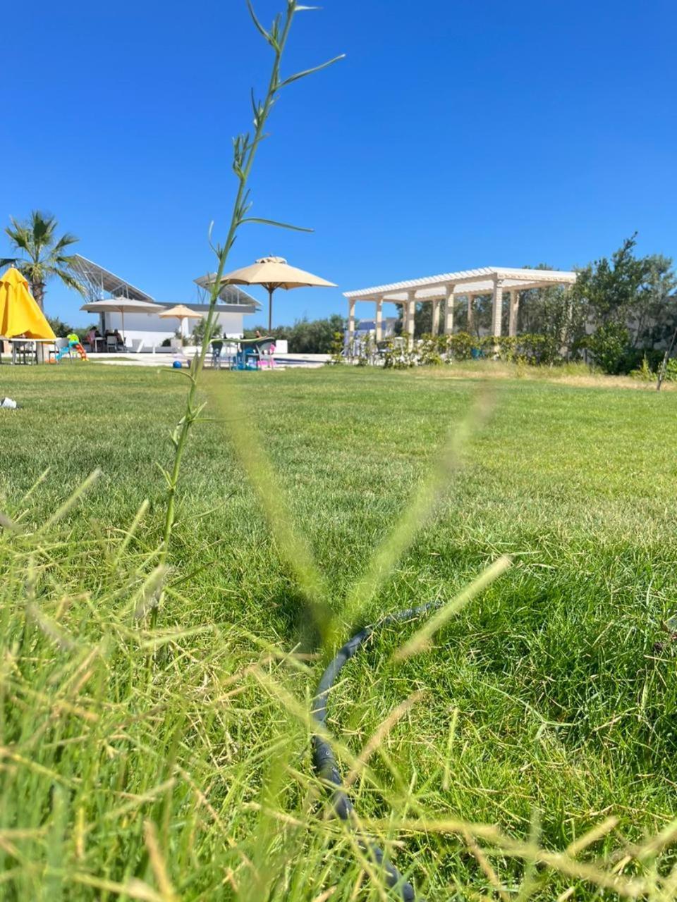 Villa Olivia, Yasmine Hammamet, Bouficha מראה חיצוני תמונה