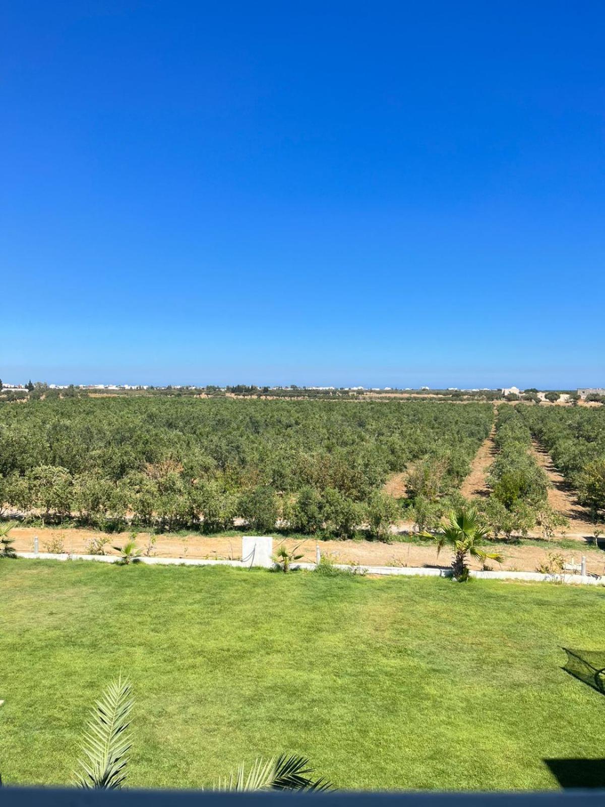 Villa Olivia, Yasmine Hammamet, Bouficha מראה חיצוני תמונה