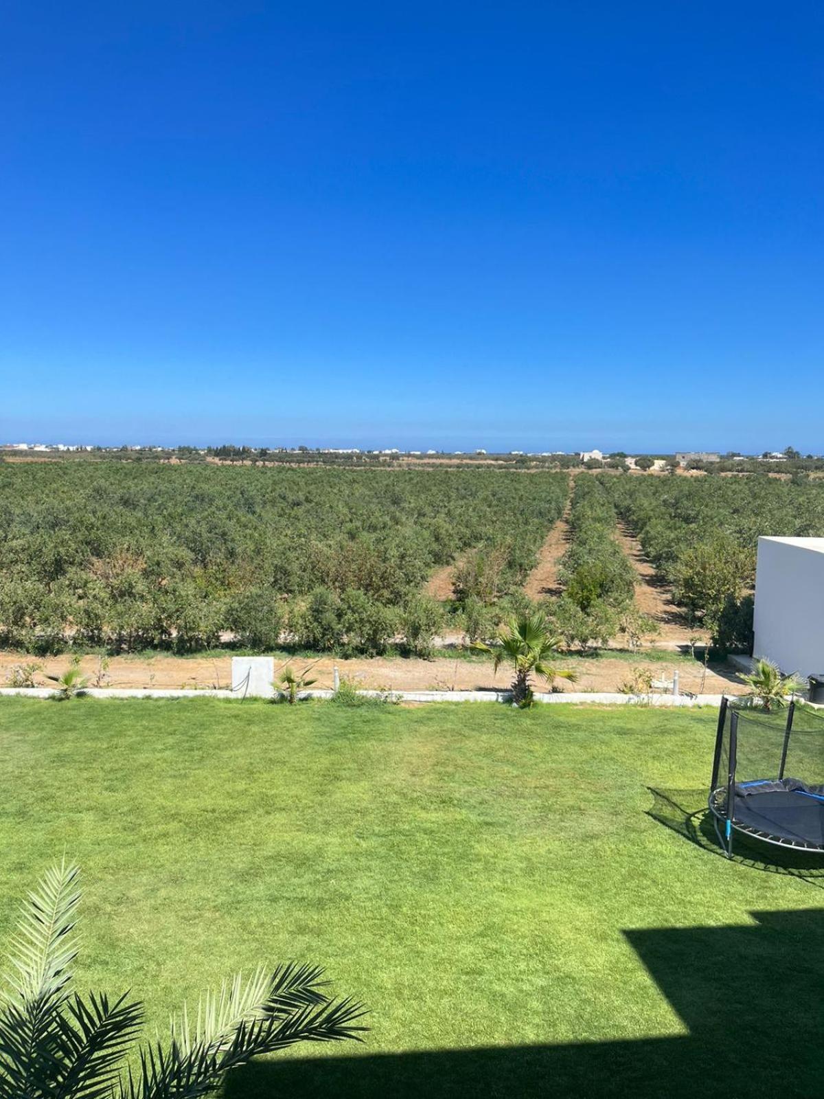 Villa Olivia, Yasmine Hammamet, Bouficha מראה חיצוני תמונה