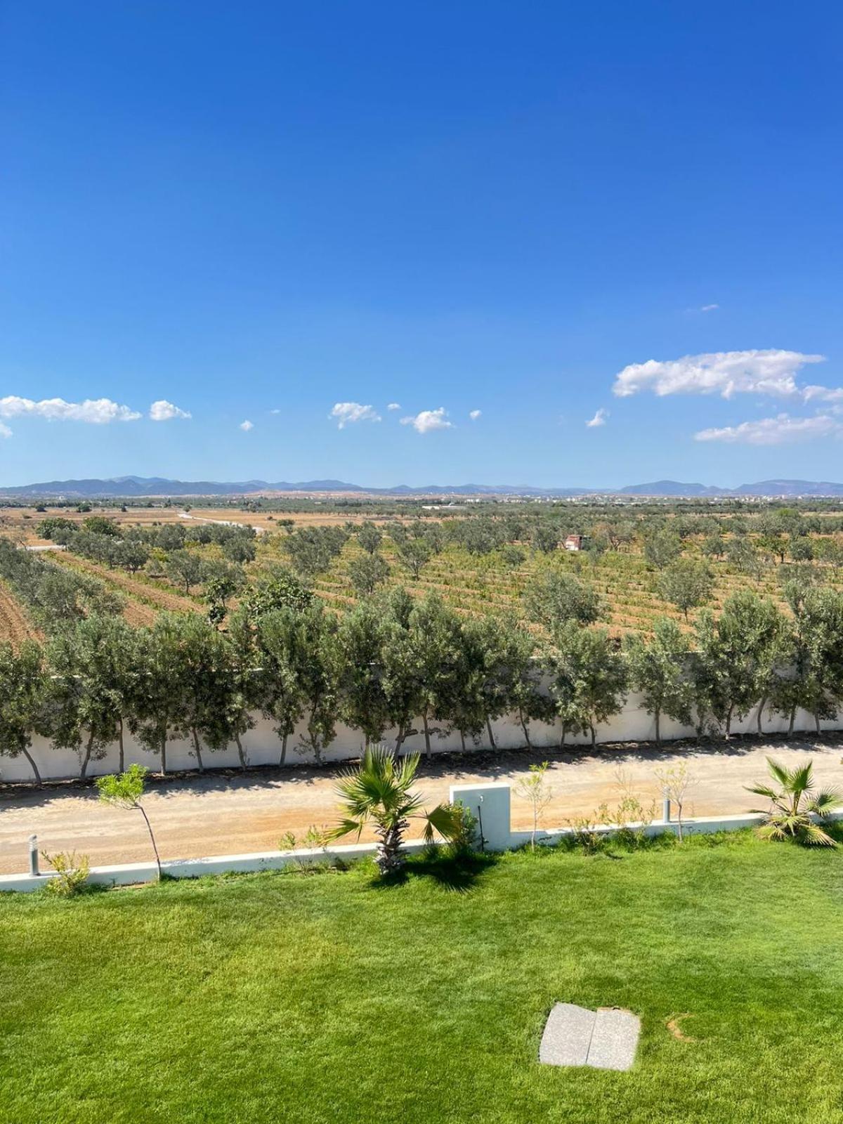 Villa Olivia, Yasmine Hammamet, Bouficha מראה חיצוני תמונה